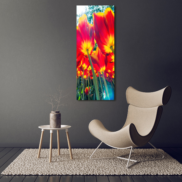 Staand foto plexiglas Rode tulpen