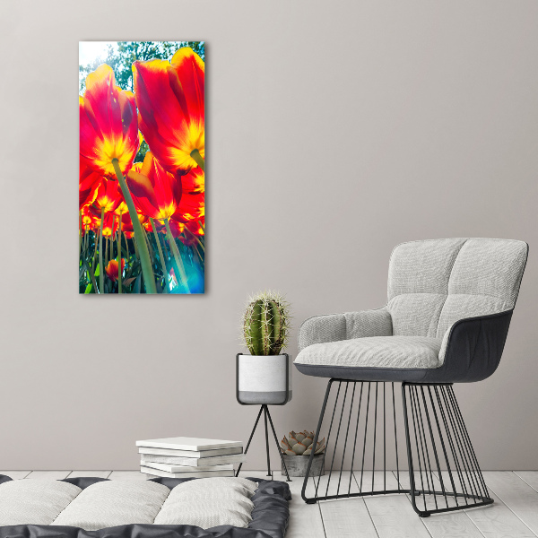 Staand foto plexiglas Rode tulpen