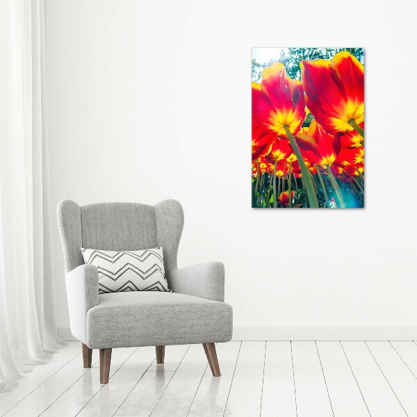 Staand foto plexiglas Rode tulpen