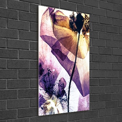 Staand foto in plexiglas Klaprozen