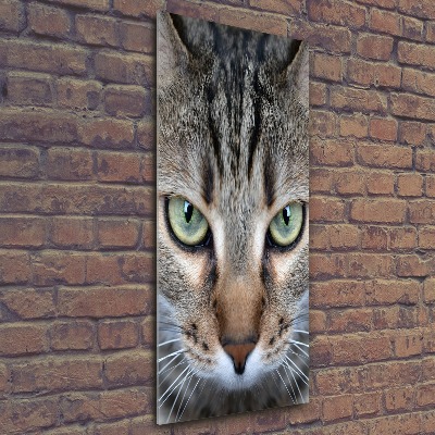 Staand foto plexiglas Kattenogen