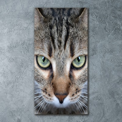 Staand foto plexiglas Kattenogen