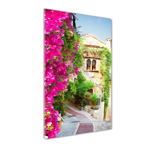 Staand foto plexiglas Provence Frankrijk