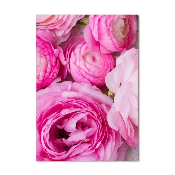 Staand plexiglas foto Roze boterbloemen