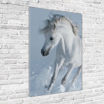 Staand plexiglas foto Een wit paard in galop