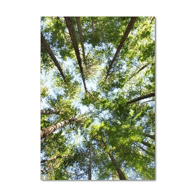 Staand foto op plexiglas Boomkroon