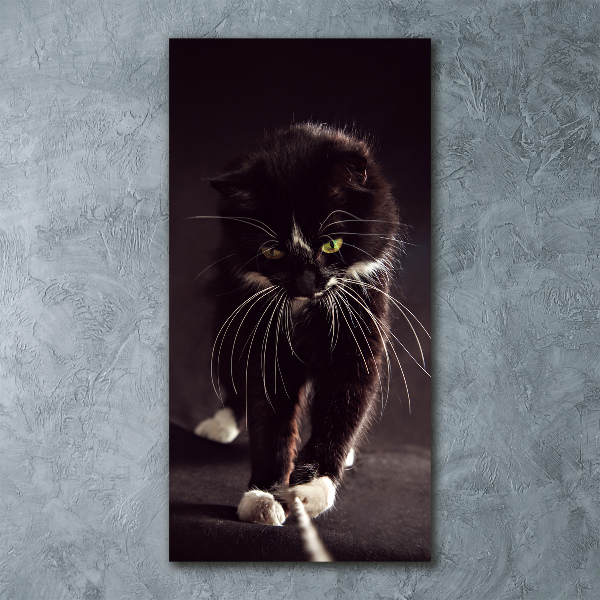 Staand foto in plexiglas Zwarte kat