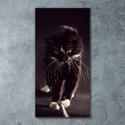 Staand foto in plexiglas Zwarte kat