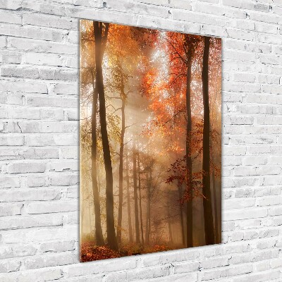 Staand foto plexiglas Bos in de herfst