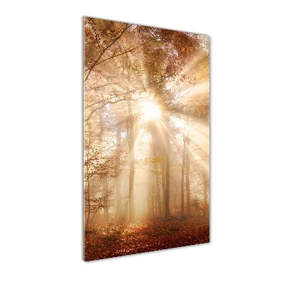 Staand foto plexiglas Bos in de herfst