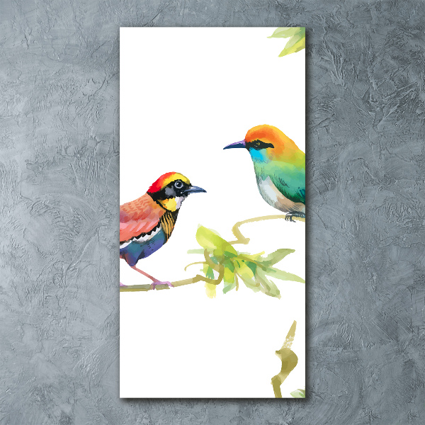 Staand foto plexiglas Vogels