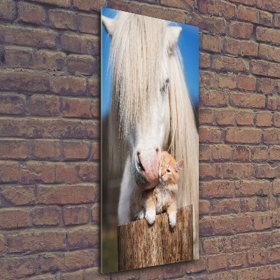 Staand foto op plexiglas Wit paard met een kat