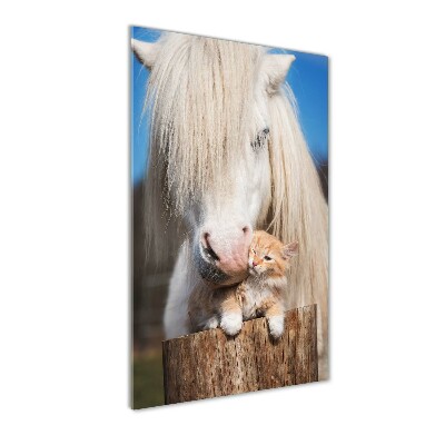 Staand foto op plexiglas Wit paard met een kat