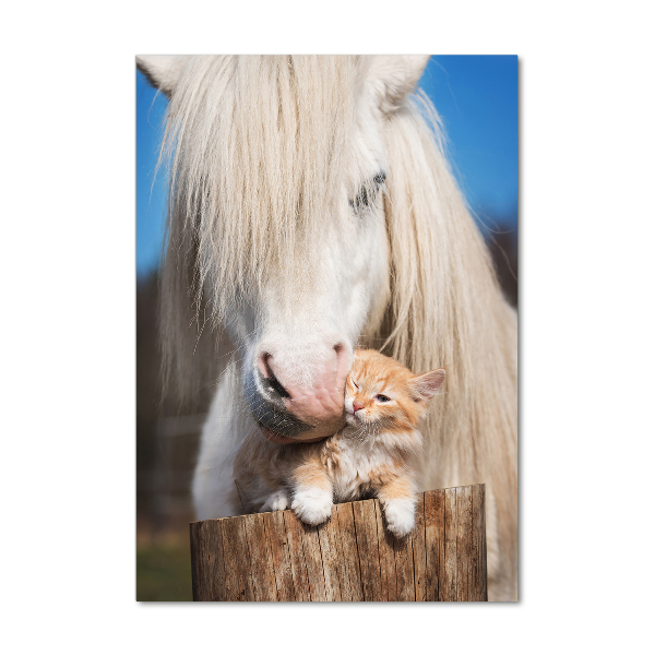 Staand foto op plexiglas Wit paard met een kat
