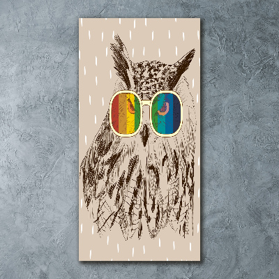 Staand foto plexiglas Uilen met een bril