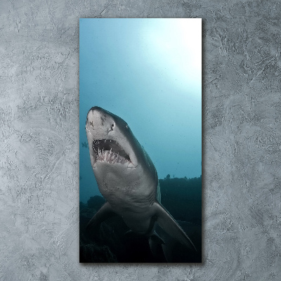 Foto-obraz akrylowy pionowy Duży rekin