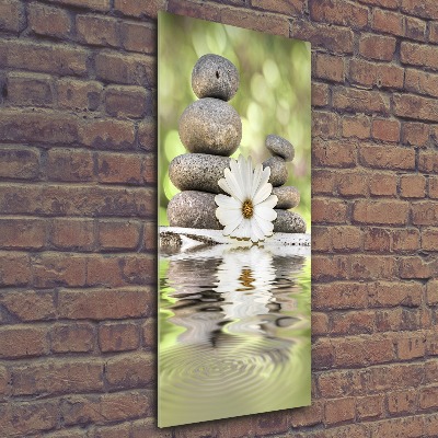 Staand foto op plexiglas Stenen en bloemen