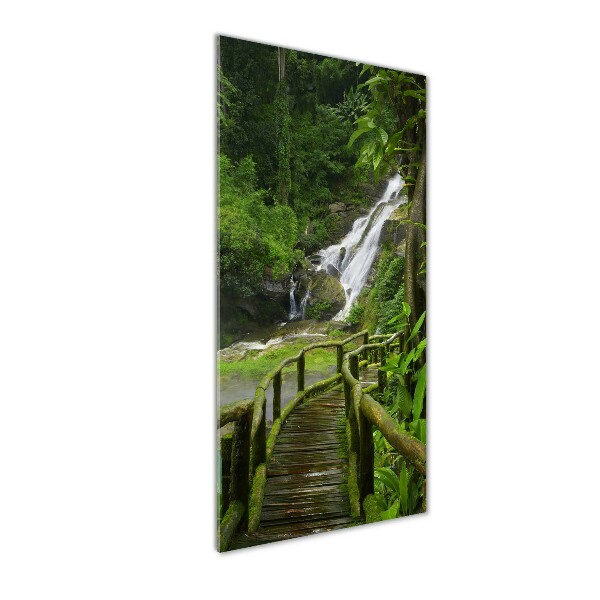 Staand foto plexiglas Junglepad