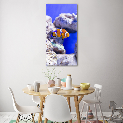 Staand foto in plexiglas Nemo de vis