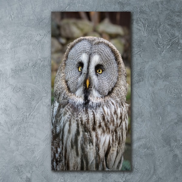 Staand foto op plexiglas Uil