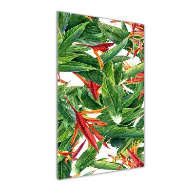 Staand plexiglas foto Strelitzia reginae