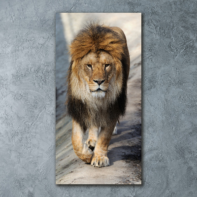 Staand foto plexiglas Leeuw