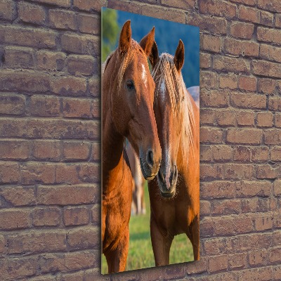 Staand foto op plexiglas Twee paarden