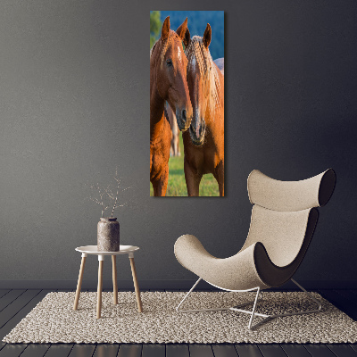 Staand foto op plexiglas Twee paarden