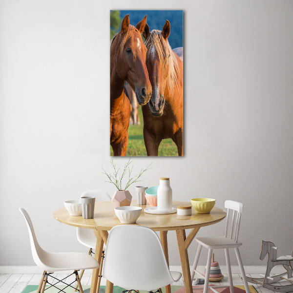 Staand foto op plexiglas Twee paarden