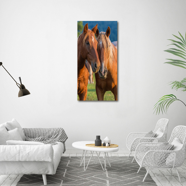 Staand foto op plexiglas Twee paarden