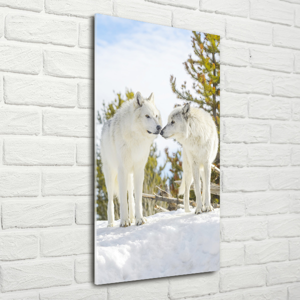 Staand plexiglas foto Twee witte wolven