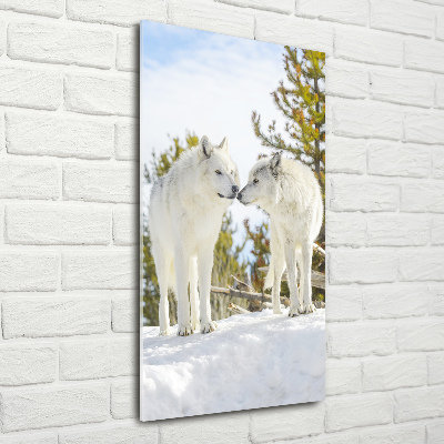 Staand plexiglas foto Twee witte wolven
