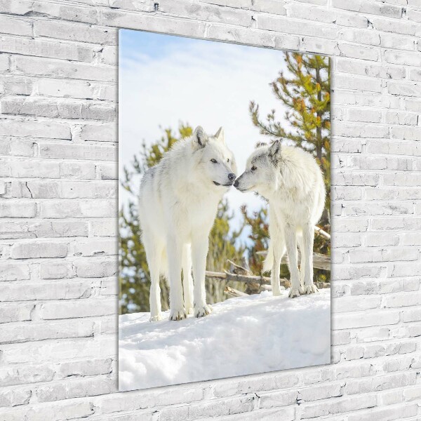 Staand plexiglas foto Twee witte wolven