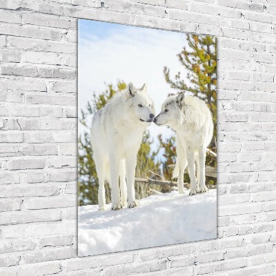 Staand plexiglas foto Twee witte wolven
