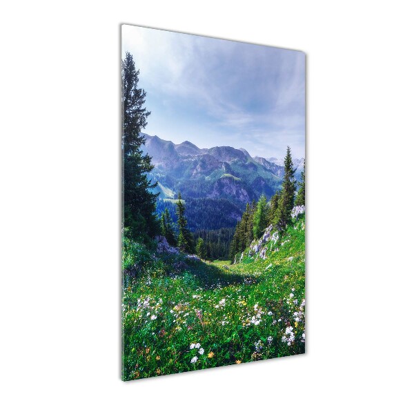 Staand plexiglas foto Alpen