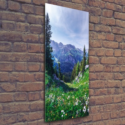 Staand plexiglas foto Alpen