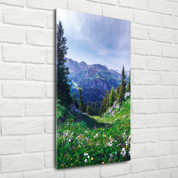 Staand plexiglas foto Alpen