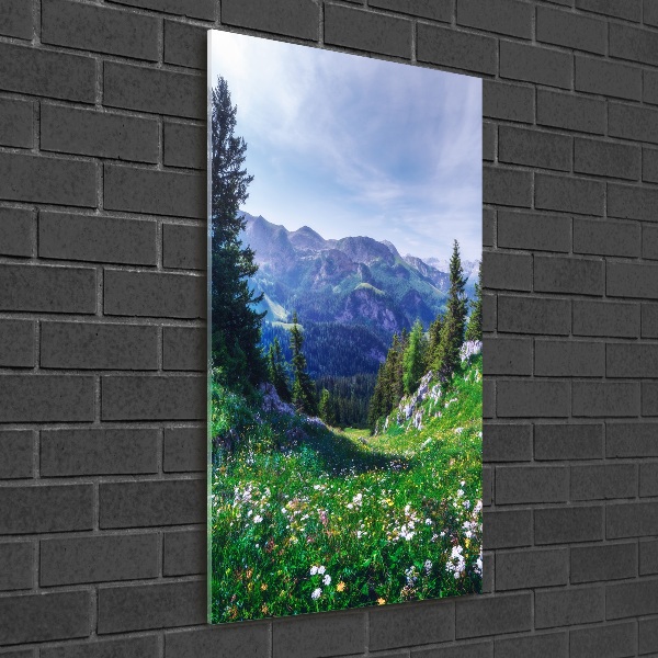 Staand plexiglas foto Alpen