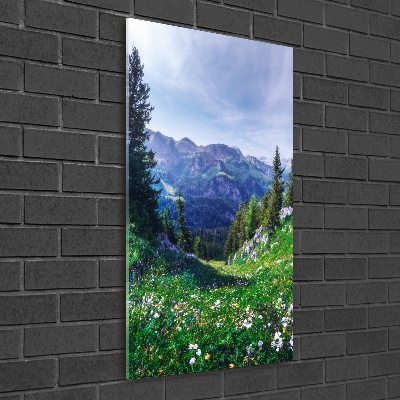 Staand plexiglas foto Alpen
