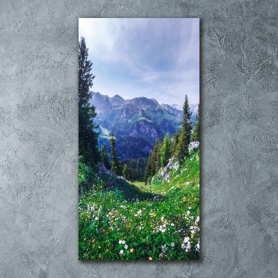Staand plexiglas foto Alpen
