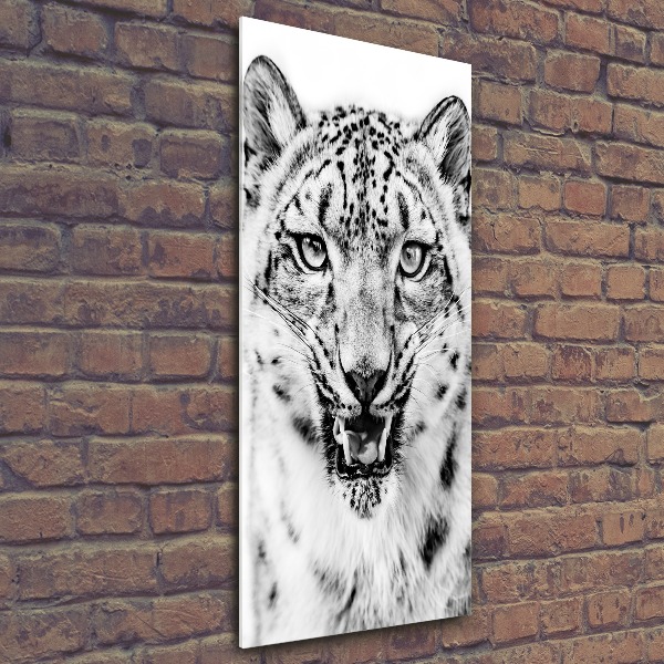 Staand foto op plexiglas Sneeuwluipaard