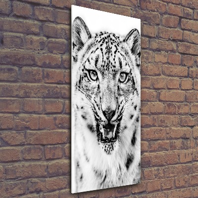 Staand foto op plexiglas Sneeuwluipaard