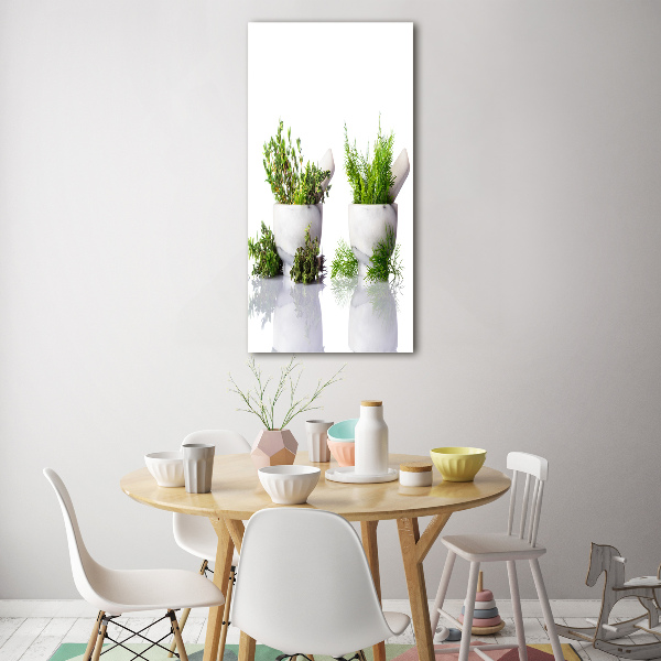 Staand foto in plexiglas Vijzels en kruiden