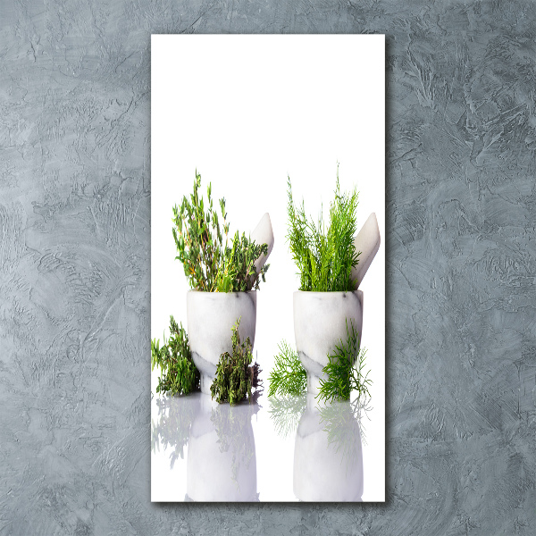 Staand foto in plexiglas Vijzels en kruiden