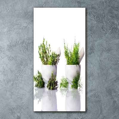 Staand foto in plexiglas Vijzels en kruiden