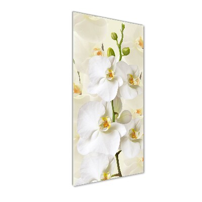 Staand plexiglas foto Witte orchidee