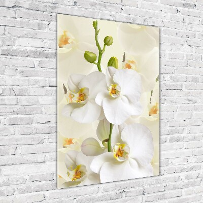 Staand plexiglas foto Witte orchidee