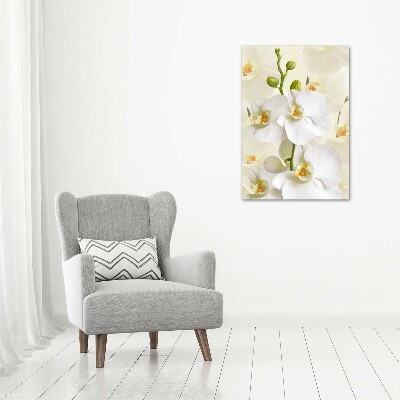 Staand plexiglas foto Witte orchidee