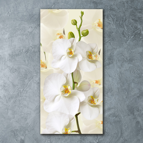 Staand plexiglas foto Witte orchidee