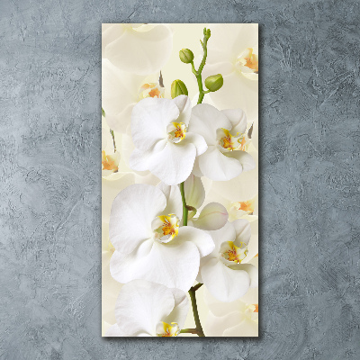 Staand plexiglas foto Witte orchidee